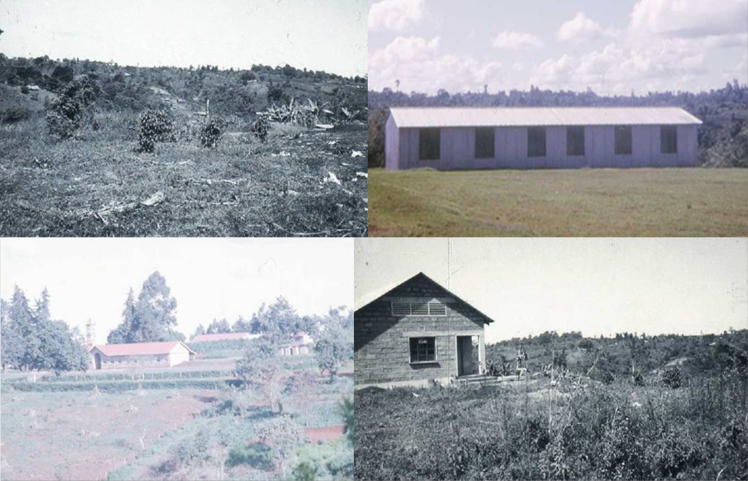 Timber dorms 1965